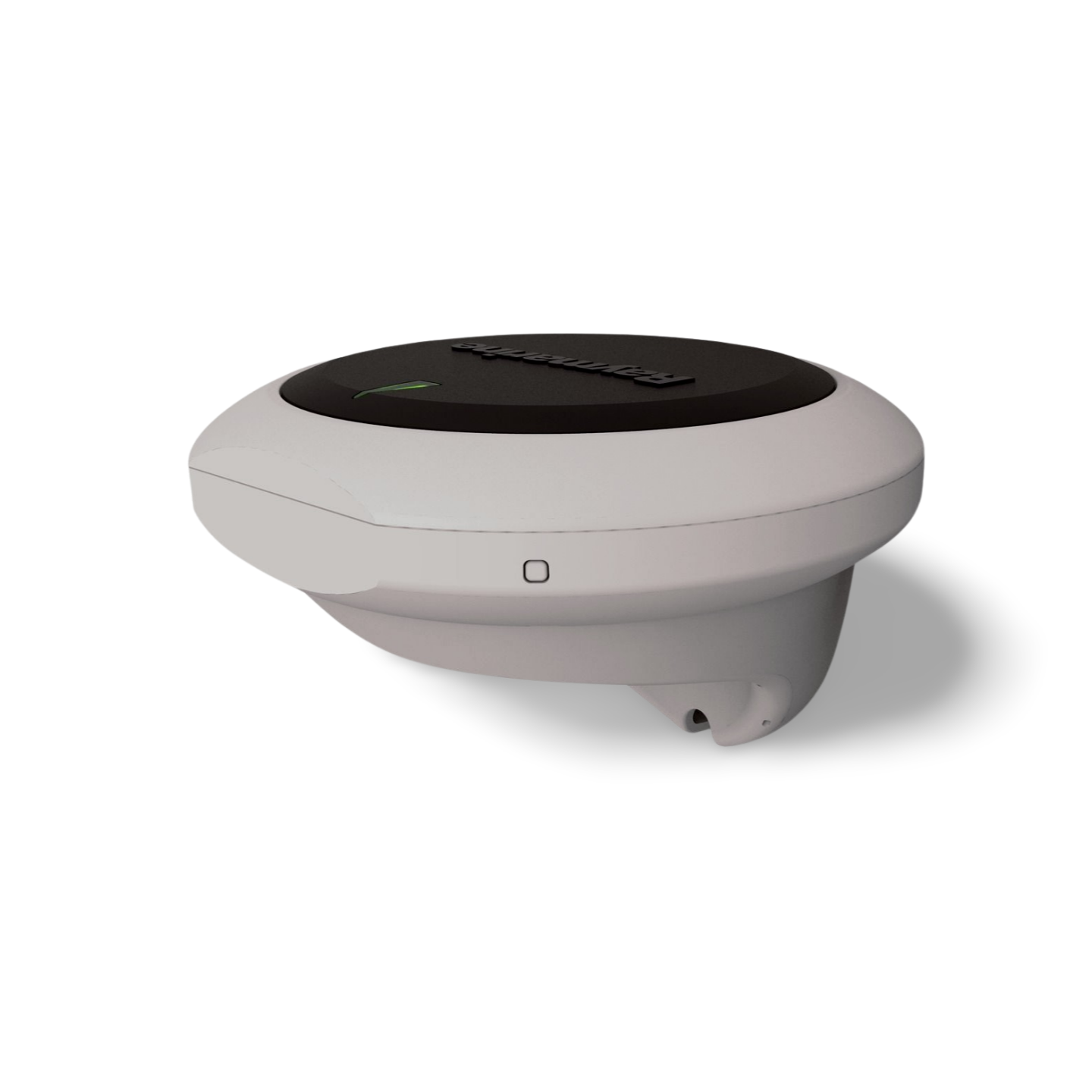 Raymarine EV-1 Sensor (E70096)